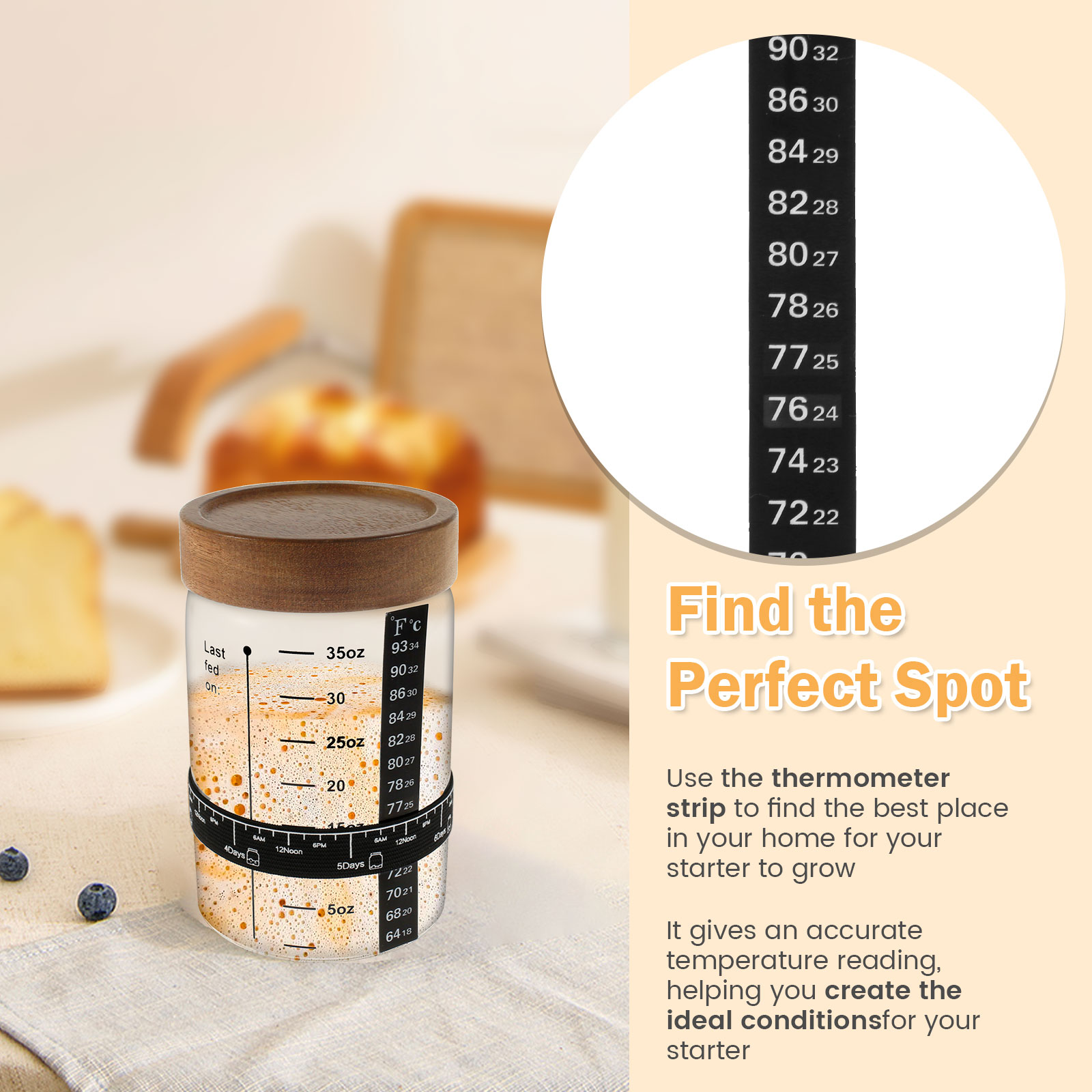 Kit de tarro de inicio de masa - Fermentation Crock reseña y precio