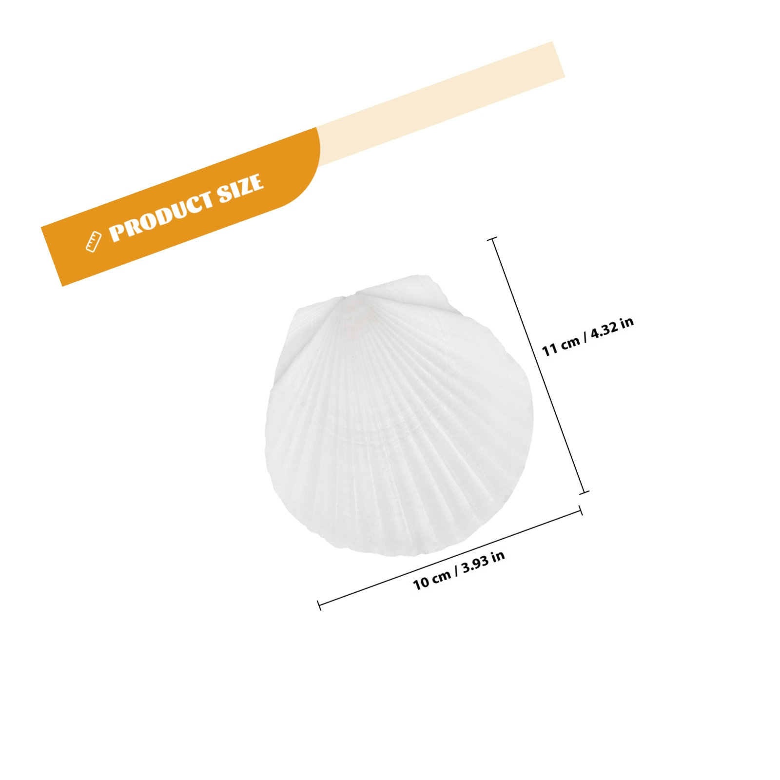 10 piezas de conchas de vieira - Mom'S Home Cooking reseña y precio